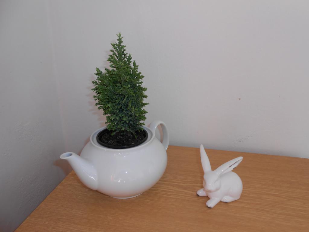 White Rabbit Hall Poděbrady Quarto foto