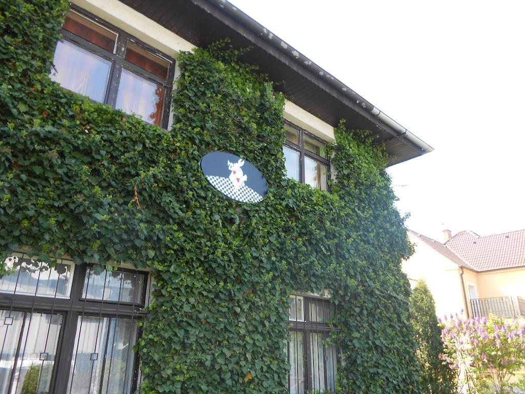 White Rabbit Hall Poděbrady Exterior foto